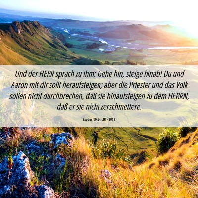 Picture 06 - Exodus 19:24 LUTH1912 - Und der HERR sprach zu ihm: Gehe hin, steige - Bible Verse Picture