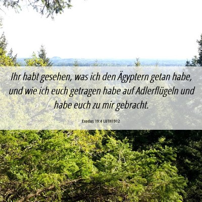 Picture 06 - Exodus 19:4 LUTH1912 - Ihr habt gesehen, was ich den Ägyptern getan - Bible Verse Picture
