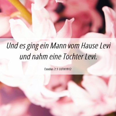 Picture 06 - Exodus 2:1 LUTH1912 - Und es ging ein Mann vom Hause Levi und nahm eine - Bible Verse Picture