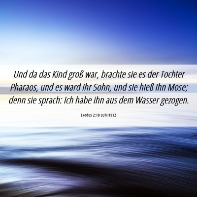 Picture 06 - Exodus 2:10 LUTH1912 - Und da das Kind groß war, brachte sie es der - Bible Verse Picture