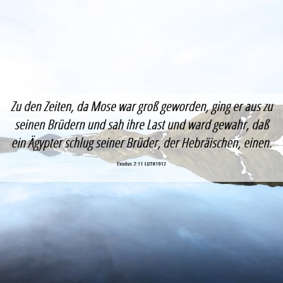 Picture 06 - Exodus 2:11 LUTH1912 - Zu den Zeiten, da Mose war groß geworden, ging - Bible Verse Picture