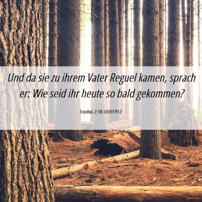 Picture 06 - Exodus 2:18 LUTH1912 - Und da sie zu ihrem Vater Reguel kamen, sprach - Bible Verse Picture