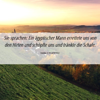 Picture 06 - Exodus 2:19 LUTH1912 - Sie sprachen: Ein ägyptischer Mann errettete uns - Bible Verse Picture