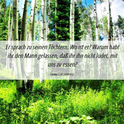 Picture 06 - Exodus 2:20 LUTH1912 - Er sprach zu seinen Töchtern: Wo ist er? Warum - Bible Verse Picture
