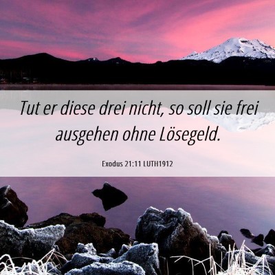 Picture 06 - Exodus 21:11 LUTH1912 - Tut er diese drei nicht, so soll sie frei - Bible Verse Picture