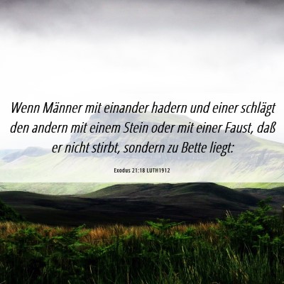 Picture 06 - Exodus 21:18 LUTH1912 - Wenn Männer mit einander hadern und einer - Bible Verse Picture