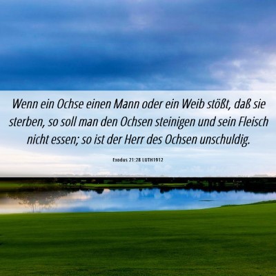 Picture 06 - Exodus 21:28 LUTH1912 - Wenn ein Ochse einen Mann oder ein Weib stößt, - Bible Verse Picture