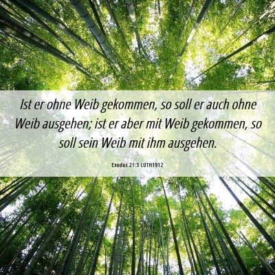 Picture 06 - Exodus 21:3 LUTH1912 - Ist er ohne Weib gekommen, so soll er auch ohne - Bible Verse Picture