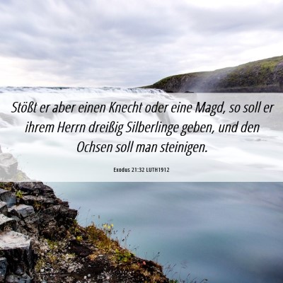 Picture 06 - Exodus 21:32 LUTH1912 - Stößt er aber einen Knecht oder eine Magd, so - Bible Verse Picture