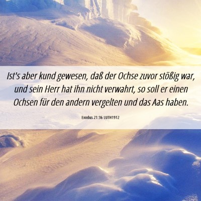 Picture 06 - Exodus 21:36 LUTH1912 - Ist's aber kund gewesen, daß der Ochse zuvor - Bible Verse Picture