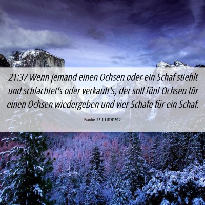 Picture 06 - Exodus 22:1 LUTH1912 - 21:37 Wenn jemand einen Ochsen oder ein Schaf - Bible Verse Picture