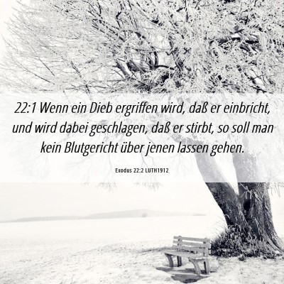 Picture 06 - Exodus 22:2 LUTH1912 - 22:1 Wenn ein Dieb ergriffen wird, daß er - Bible Verse Picture