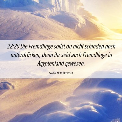 Picture 06 - Exodus 22:21 LUTH1912 - 22:20 Die Fremdlinge sollst du nicht schinden - Bible Verse Picture