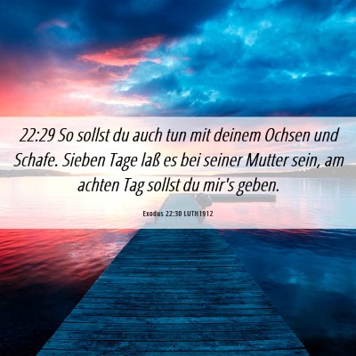 Picture 06 - Exodus 22:30 LUTH1912 - 22:29 So sollst du auch tun mit deinem Ochsen und - Bible Verse Picture