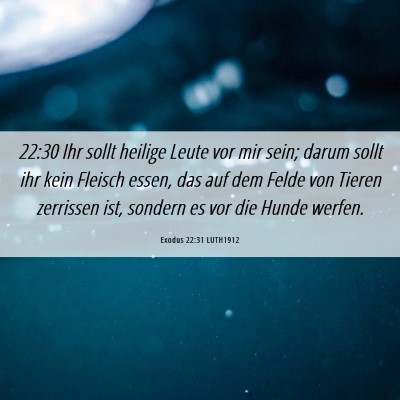 Picture 06 - Exodus 22:31 LUTH1912 - 22:30 Ihr sollt heilige Leute vor mir sein; darum - Bible Verse Picture