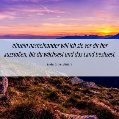 Picture 06 - Exodus 23:30 LUTH1912 - einzeln nacheinander will ich sie vor dir her - Bible Verse Picture
