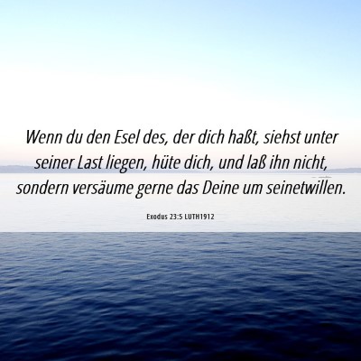 Picture 06 - Exodus 23:5 LUTH1912 - Wenn du den Esel des, der dich haßt, siehst - Bible Verse Picture