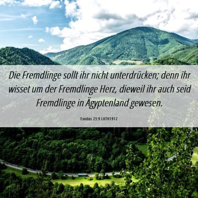 Picture 06 - Exodus 23:9 LUTH1912 - Die Fremdlinge sollt ihr nicht unterdrücken; - Bible Verse Picture