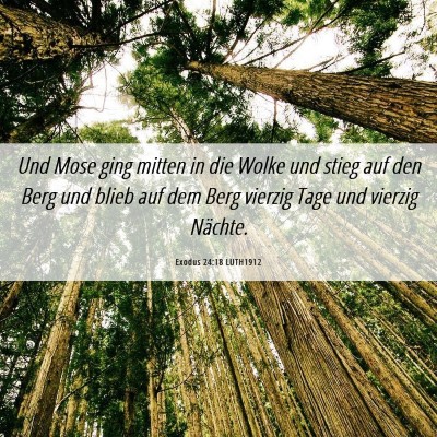 Picture 06 - Exodus 24:18 LUTH1912 - Und Mose ging mitten in die Wolke und stieg auf - Bible Verse Picture