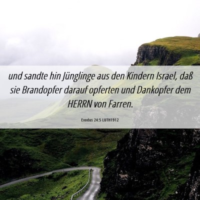 Picture 06 - Exodus 24:5 LUTH1912 - und sandte hin Jünglinge aus den Kindern Israel, - Bible Verse Picture
