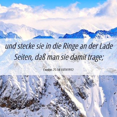 Picture 06 - Exodus 25:14 LUTH1912 - und stecke sie in die Ringe an der Lade Seiten, - Bible Verse Picture