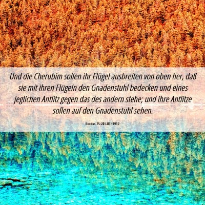 Picture 06 - Exodus 25:20 LUTH1912 - Und die Cherubim sollen ihr Flügel ausbreiten - Bible Verse Picture