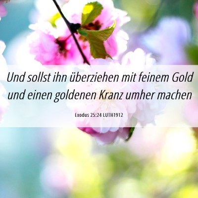 Picture 06 - Exodus 25:24 LUTH1912 - Und sollst ihn überziehen mit feinem Gold und - Bible Verse Picture