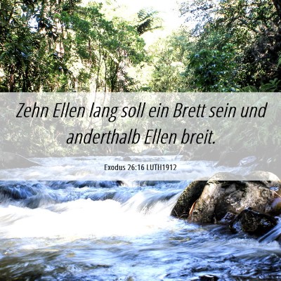 Picture 06 - Exodus 26:16 LUTH1912 - Zehn Ellen lang soll ein Brett sein und - Bible Verse Picture