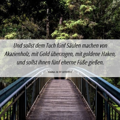 Picture 06 - Exodus 26:37 LUTH1912 - Und sollst dem Tuch fünf Säulen machen von - Bible Verse Picture
