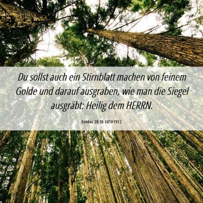 Picture 06 - Exodus 28:36 LUTH1912 - Du sollst auch ein Stirnblatt machen von feinem - Bible Verse Picture