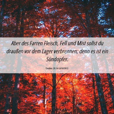 Picture 06 - Exodus 29:14 LUTH1912 - Aber des Farren Fleisch, Fell und Mist sollst du - Bible Verse Picture