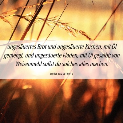 Picture 06 - Exodus 29:2 LUTH1912 - ungesäuertes Brot und ungesäuerte Kuchen, mit - Bible Verse Picture