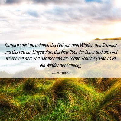 Picture 06 - Exodus 29:22 LUTH1912 - Darnach sollst du nehmen das Fett von dem Widder, - Bible Verse Picture