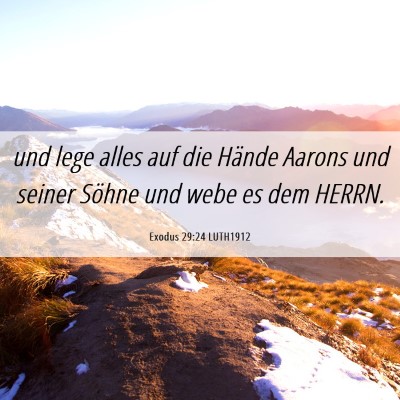 Picture 06 - Exodus 29:24 LUTH1912 - und lege alles auf die Hände Aarons und seiner - Bible Verse Picture