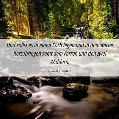 Picture 06 - Exodus 29:3 LUTH1912 - Und sollst es in einen Korb legen und in dem - Bible Verse Picture