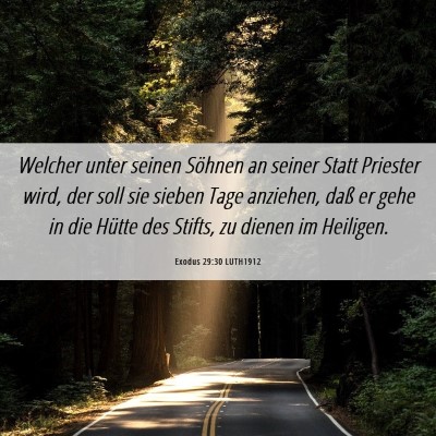 Picture 06 - Exodus 29:30 LUTH1912 - Welcher unter seinen Söhnen an seiner Statt - Bible Verse Picture