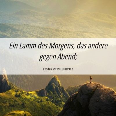 Picture 06 - Exodus 29:39 LUTH1912 - Ein Lamm des Morgens, das andere gegen - Bible Verse Picture