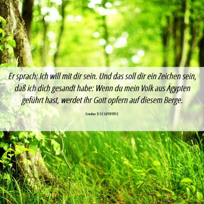 Picture 06 - Exodus 3:12 LUTH1912 - Er sprach: Ich will mit dir sein. Und das soll - Bible Verse Picture