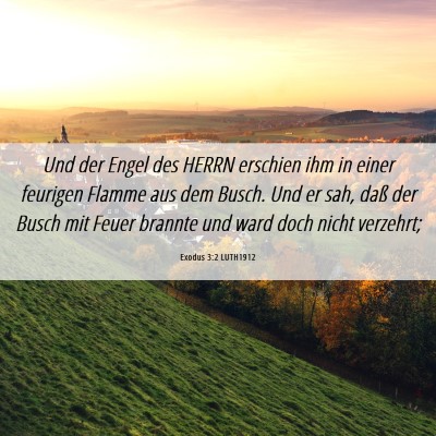 Picture 06 - Exodus 3:2 LUTH1912 - Und der Engel des HERRN erschien ihm in einer - Bible Verse Picture