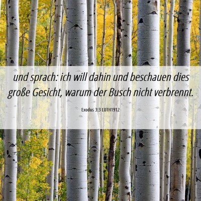 Picture 06 - Exodus 3:3 LUTH1912 - und sprach: ich will dahin und beschauen dies - Bible Verse Picture