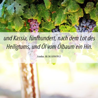 Picture 06 - Exodus 30:24 LUTH1912 - und Kassia, fünfhundert, nach dem Lot des - Bible Verse Picture