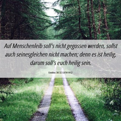 Picture 06 - Exodus 30:32 LUTH1912 - Auf Menschenleib soll's nicht gegossen werden, - Bible Verse Picture