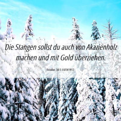Picture 06 - Exodus 30:5 LUTH1912 - Die Stangen sollst du auch von Akazienholz machen - Bible Verse Picture