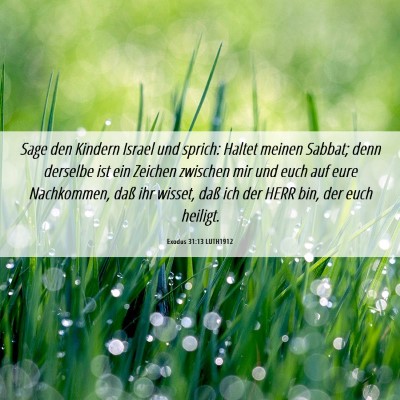 Picture 06 - Exodus 31:13 LUTH1912 - Sage den Kindern Israel und sprich: Haltet meinen - Bible Verse Picture
