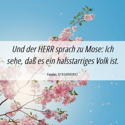 Picture 06 - Exodus 32:9 LUTH1912 - Und der HERR sprach zu Mose: Ich sehe, daß es - Bible Verse Picture
