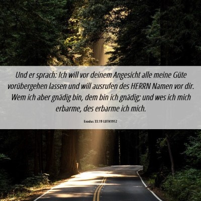Picture 06 - Exodus 33:19 LUTH1912 - Und er sprach: Ich will vor deinem Angesicht alle - Bible Verse Picture