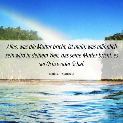 Picture 06 - Exodus 34:19 LUTH1912 - Alles, was die Mutter bricht, ist mein; was - Bible Verse Picture