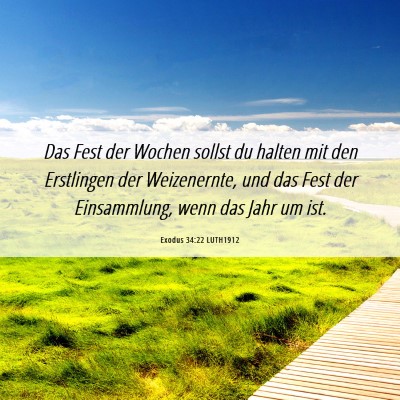 Picture 06 - Exodus 34:22 LUTH1912 - Das Fest der Wochen sollst du halten mit den - Bible Verse Picture