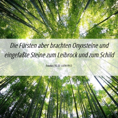 Picture 06 - Exodus 35:27 LUTH1912 - Die Fürsten aber brachten Onyxsteine und - Bible Verse Picture