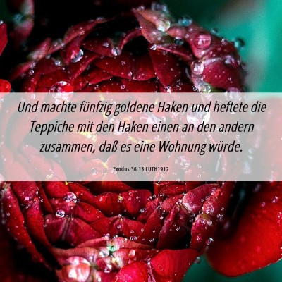 Picture 06 - Exodus 36:13 LUTH1912 - Und machte fünfzig goldene Haken und heftete die - Bible Verse Picture